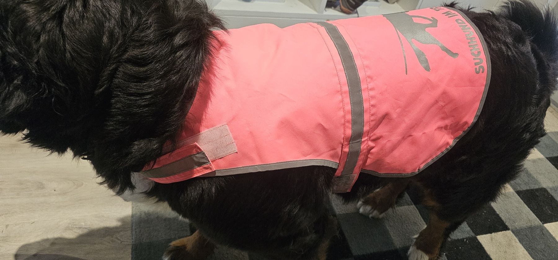 Bekleidung: Hundetrainingsweste grösse L reflektierend – Neu (gemäss Beschreibung) aus Sumiswald von Andrealein92 2