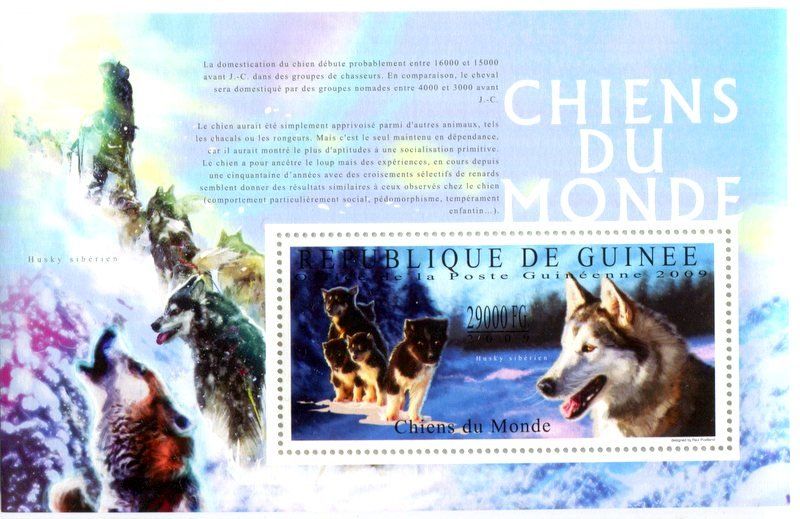 Tous les timbres: Block "Siberian Husky". Guinea – Neuf avec emballage d'origine à Basel par Butsch5