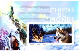 Block "Siberian Husky". Guinea