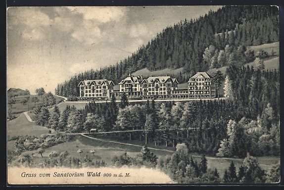 Cartoline postali: AK Wald, Blick um Sanatorium, 1911 – Usato da Berlin venduto da bartko-reher
