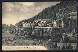 AK Wald, Blick um Sanatorium, 1911