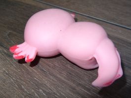 Squishy rose
