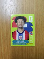 Panini WM 2026 Sticker - NOR 20