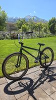 Bmx we the people 24