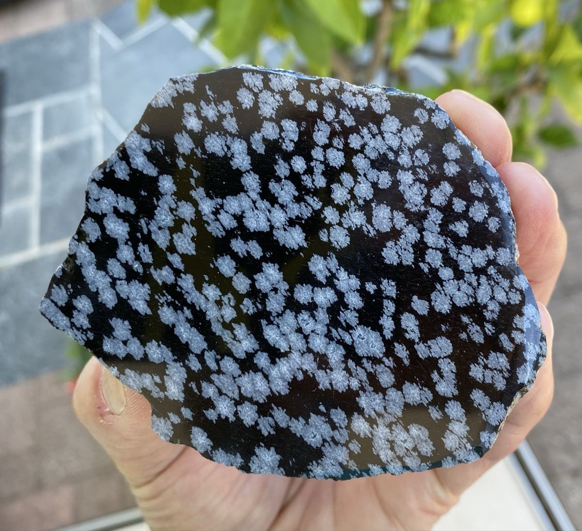 Minéraux & Lithothérapie: Schöne Schneeflockenobsidian Platte  – D'occasion à Selzach par 321compac 7