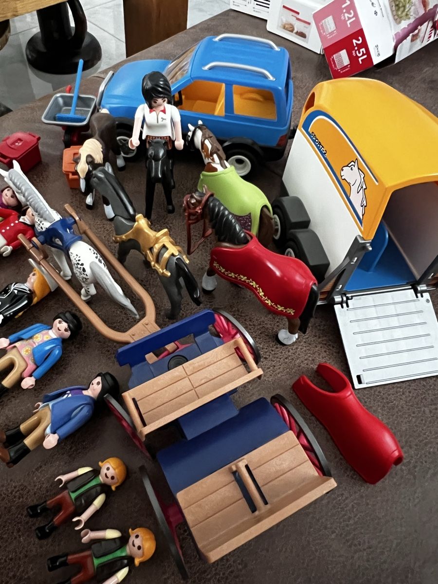 Playmobil Giocattoli: Playmobil Pferde-Set – Nuovo (secondo la descrizione) da Tuggen venduto da dkdbru 2