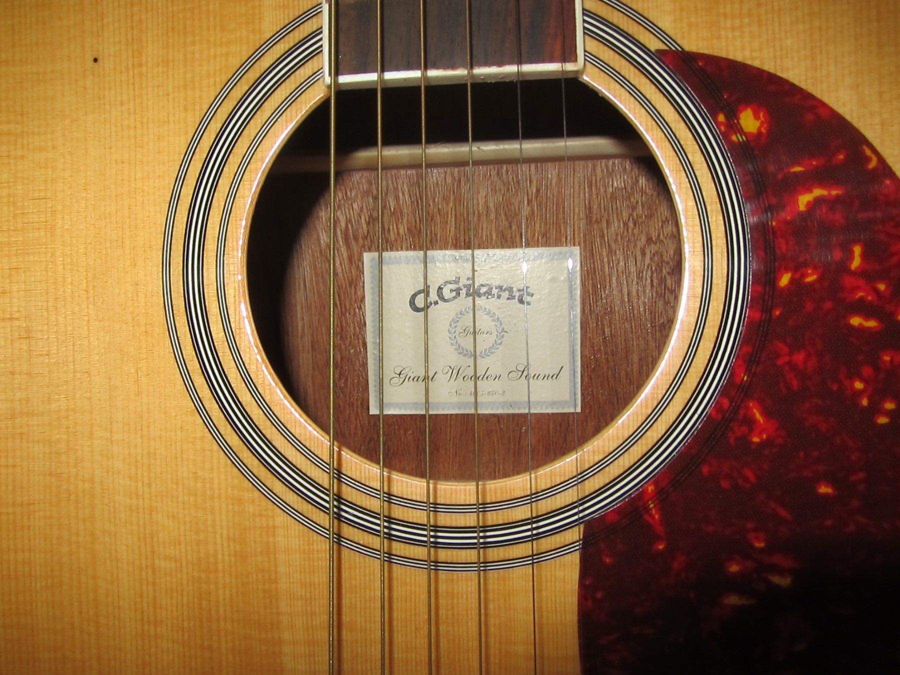 C.Giant Musikinstrumente: C. Giant Gitarre – Gebraucht aus Zürich von bigboss 1