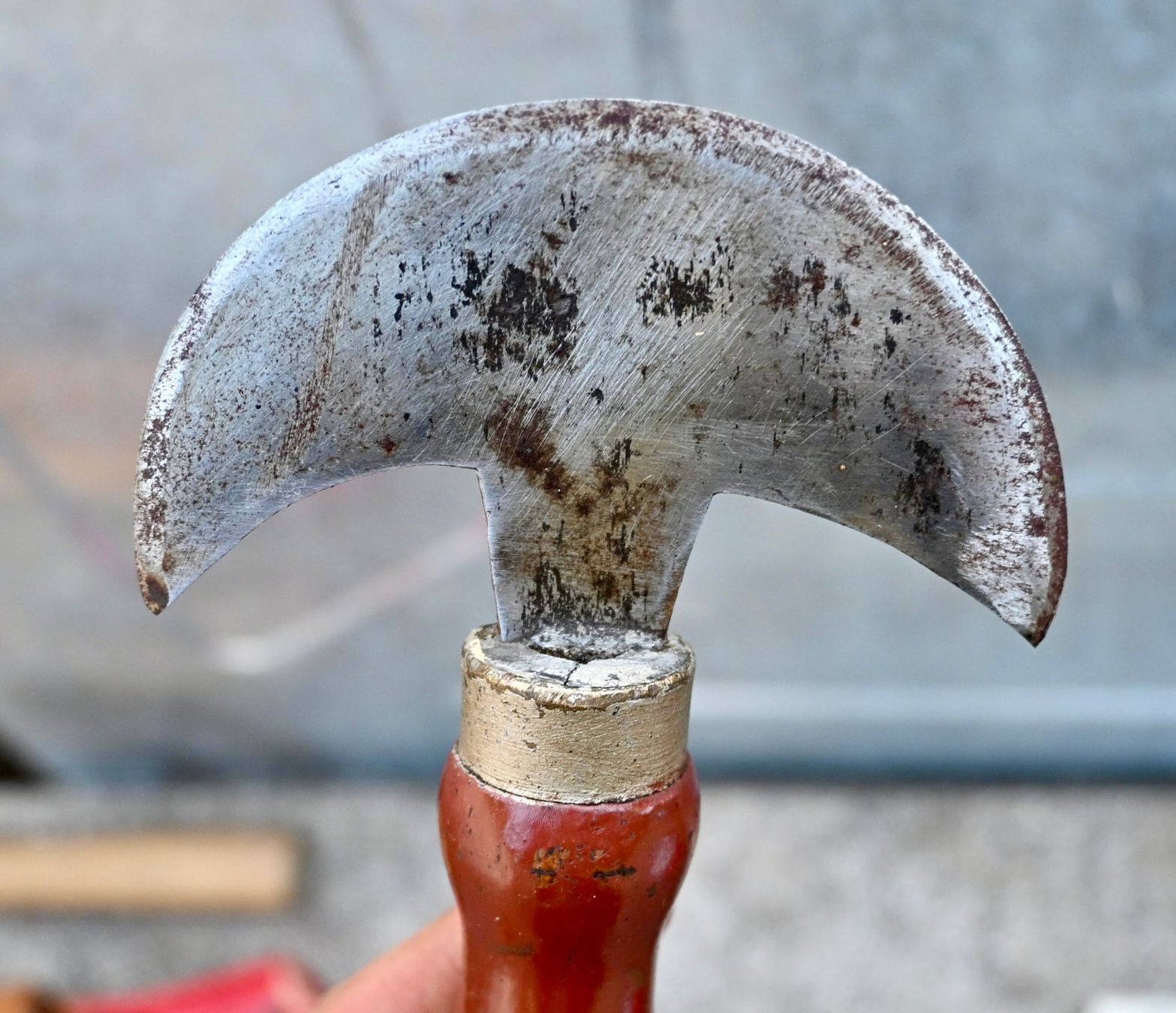 Sattler Tutti gli attrezzi: antikes Halbmondmesser - Sattlermesser länge 19cm – Usato da Pfaffhausen venduto da mono_rec 5
