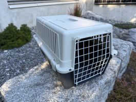 Katzen- Kleintier Transport Box, Top Zustand, sehr stabil