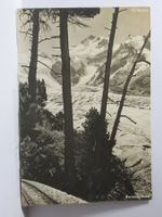 Piz Bernina , Bernina Bahn , Photo A. Steiner 1931