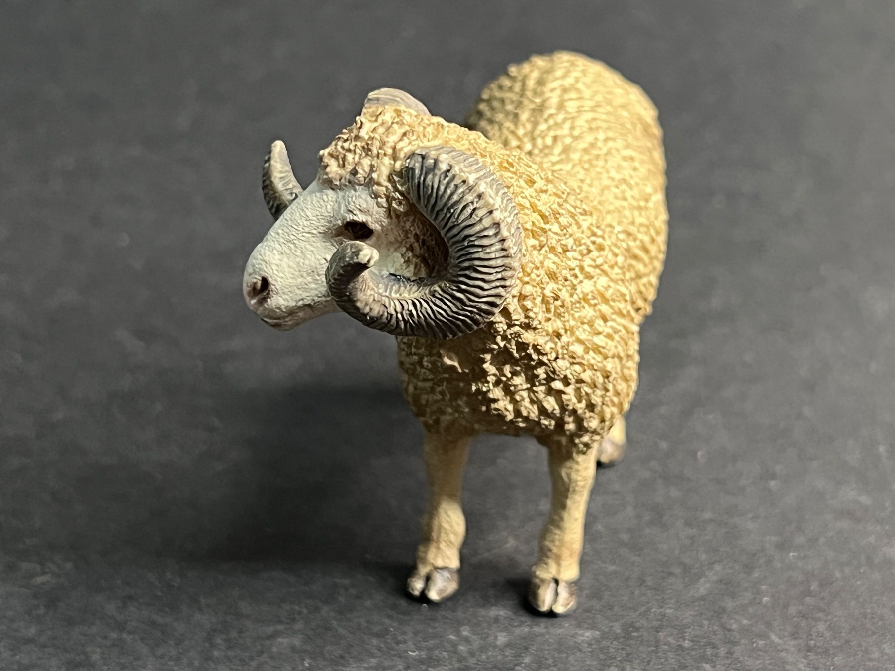 Schleich Figuren: Tolle Schleich Schafe Schaf Widder Lamm Bock Schafherde – Gebraucht aus Ennetbaden von mapa05 5