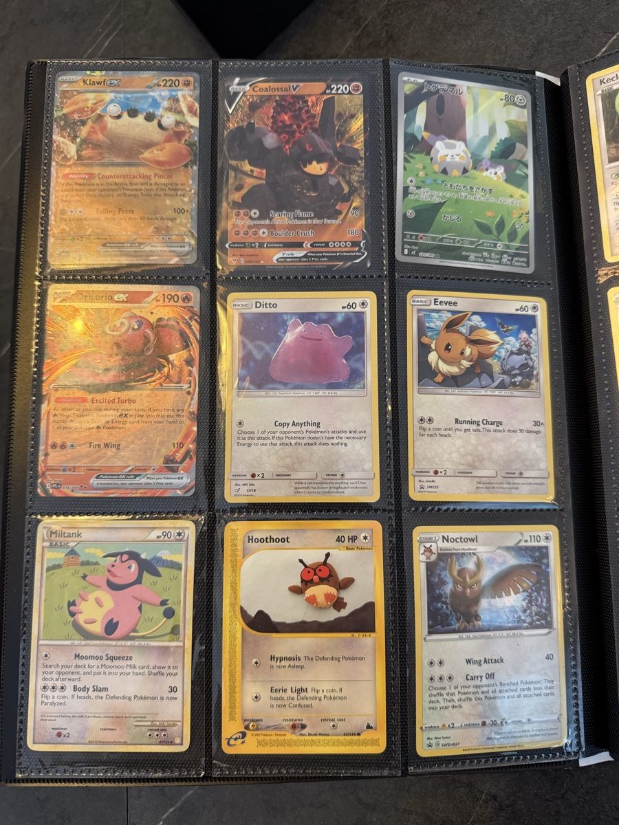 Pokémon Cartes à collectionner: Pokemon Karten Sammlung – D'occasion à Wallbach par rtfm_91 2