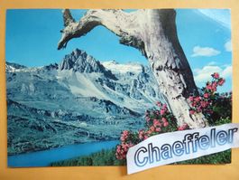 Bei Maloja, Silsersee und Piz Lagrev