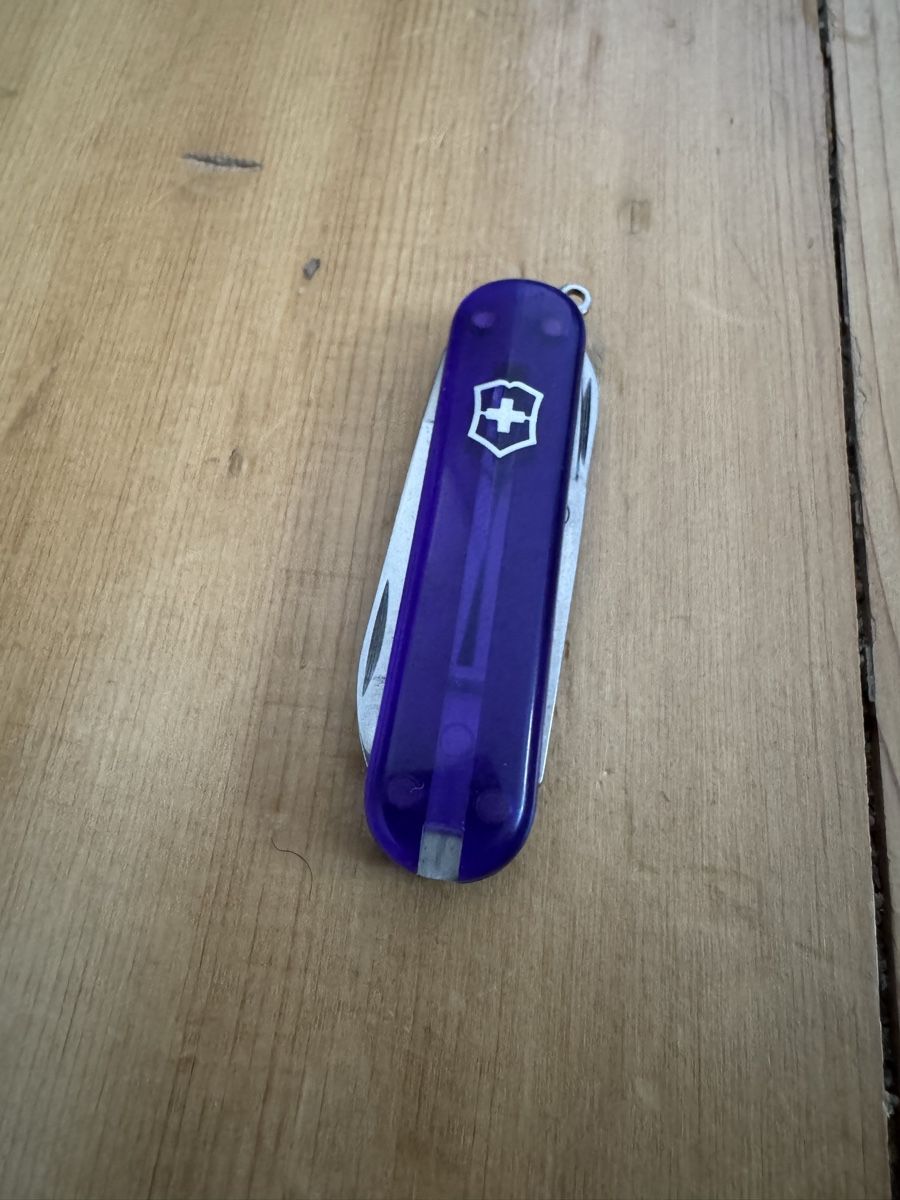Victorinox Coltelli tascabile: victorinox mini champ violett  – Usato da Bern venduto da vira1