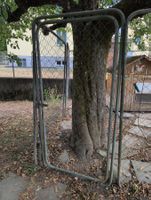 Hunde/Tiergitter feuerverzinkt