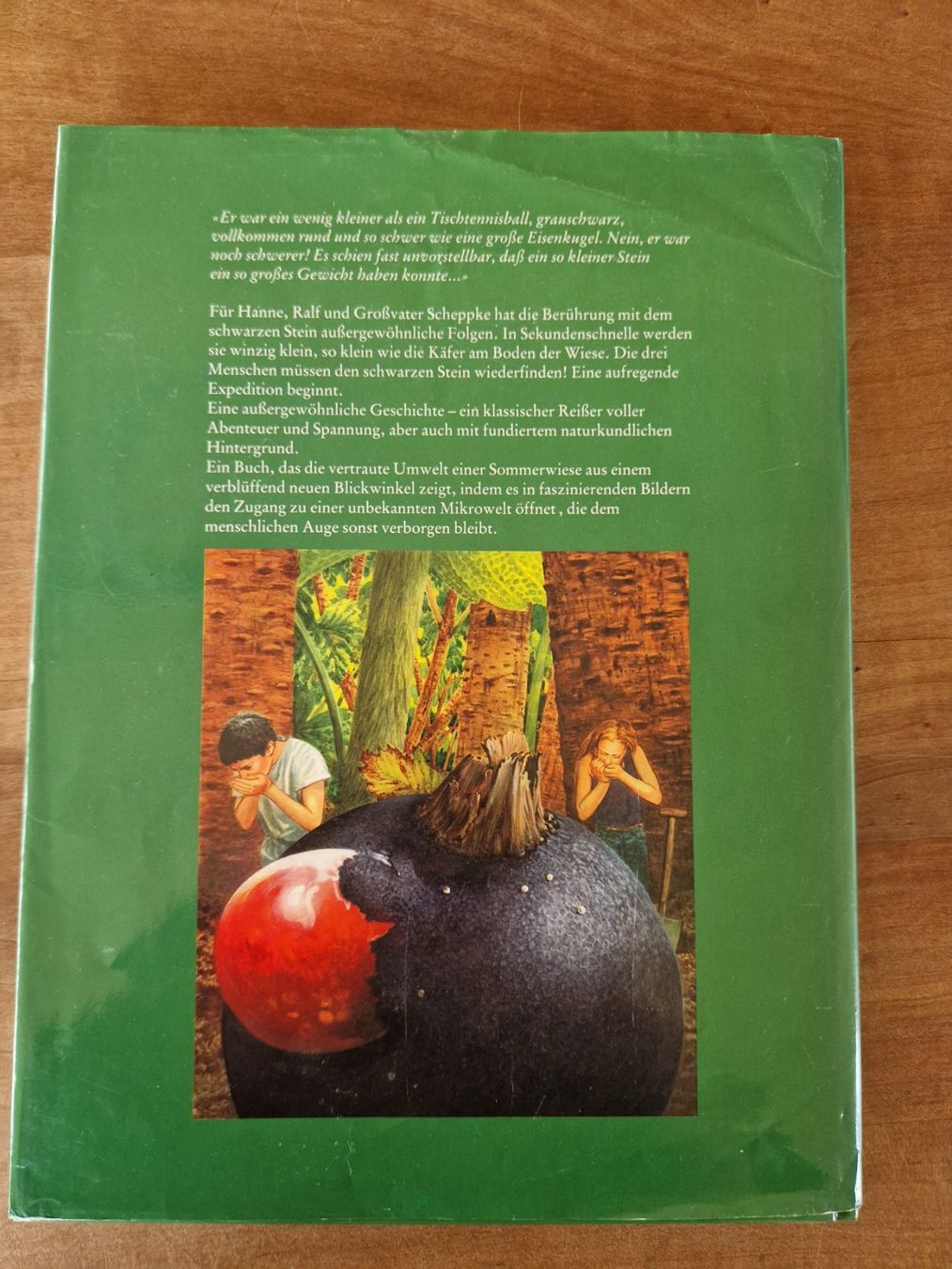 Livres: Bilderbuch "Der schwarze Stein" – D'occasion à Giswil par movo08 3