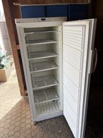 Tiefkühlschrank MIO/STAR