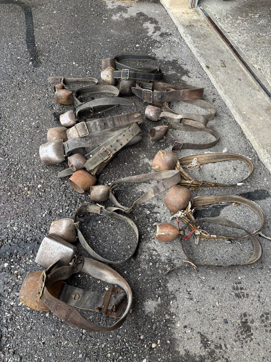 Campanacci mucche: 20 Stk Rindertreicheli – Difettoso da Schangnau venduto da Roseggli82 8