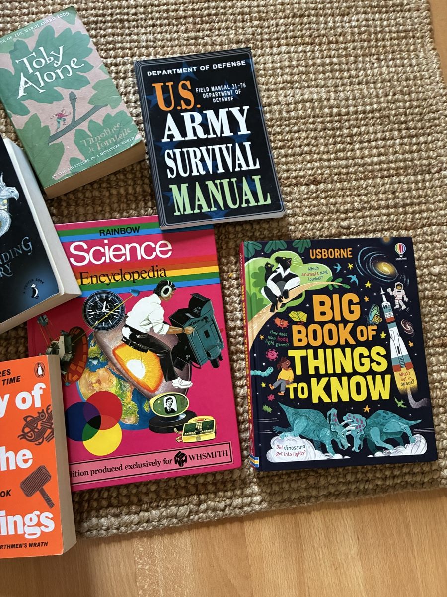 Bücher: 10 English Books – Gebraucht aus Bern von wisemagpie 2