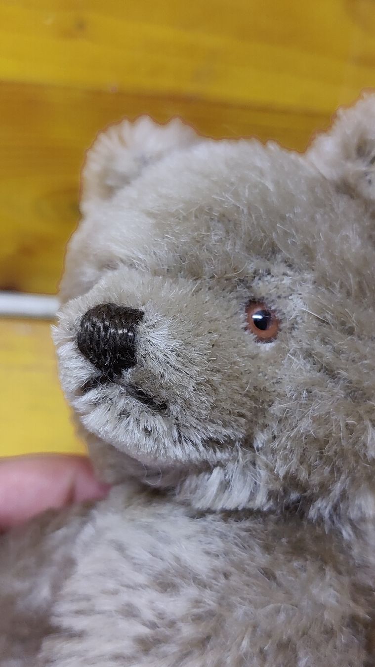 Steiff Giocattoli: Antiker Steiff Teddy, Teddybär (L10) – Usato da Neuenhof venduto da SchnaeppliAllerlei 6