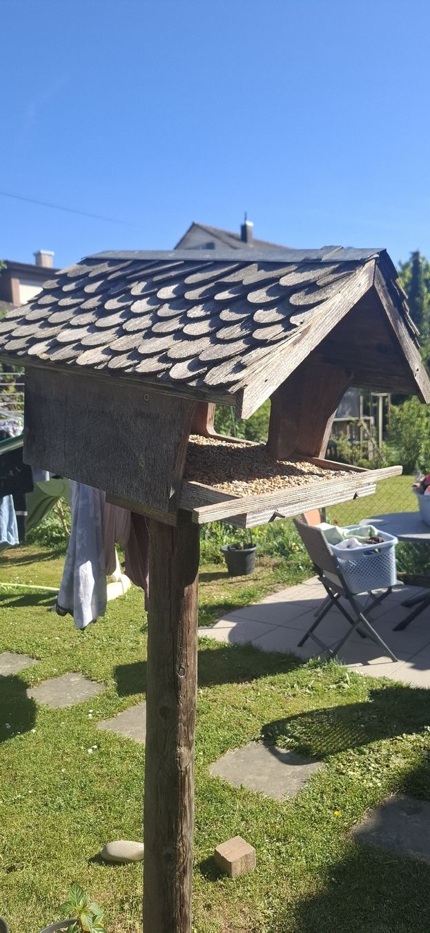 Casette per uccelli: Grosses Vogelhaus – Usato da Suhr venduto da Design_by_Debi 2
