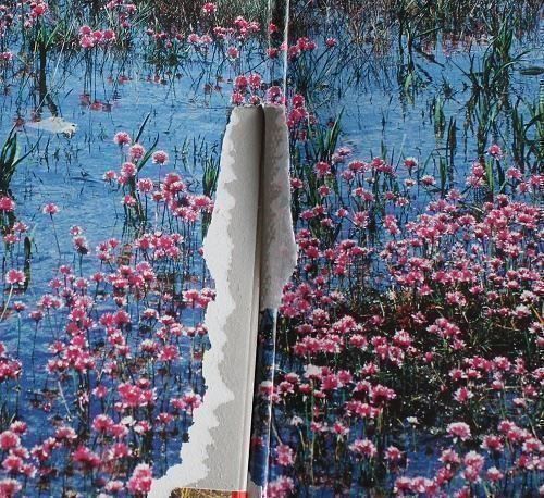 Bücher: Die Welt erleben: Schweden – Gebraucht aus Schlatt TG von annesbuecher 2