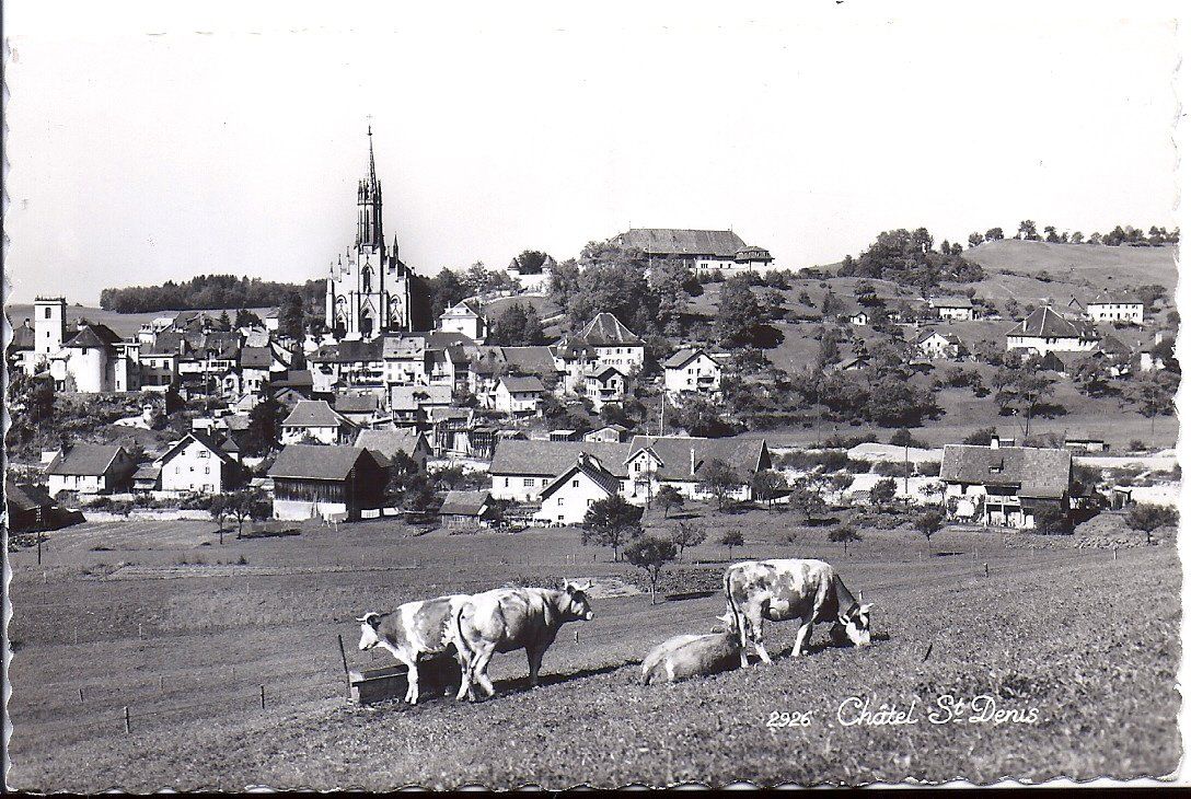 Cartoline postali: CHÂTEL ST. DENIS – Nuovo (secondo la descrizione) da Les Verrières venduto da Scampi0