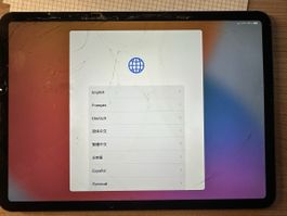 Apple iPad Pro 11” 2. Generation – Display beschädigt