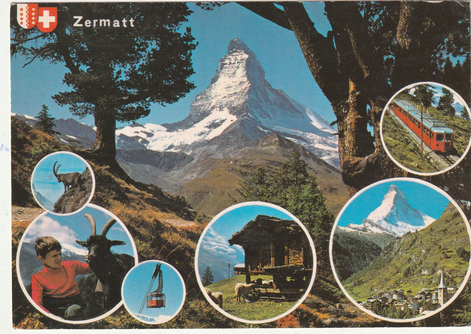 Cartoline postali: Zermatt Matterhorn – Usato da Lumbrein venduto da made02