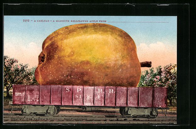 Cartoline postali: Optische Täuschung mit gigantischem Apf – Usato da Berlin venduto da bartko-reher