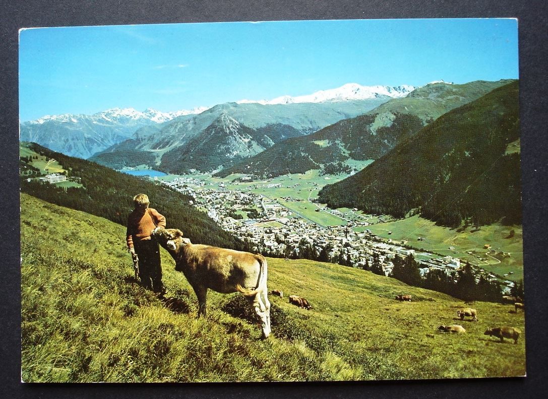 Cartoline postali: DAVOS Blick auf Pischahorn - Bauer mit Kuh – Usato da Jona venduto da philajona