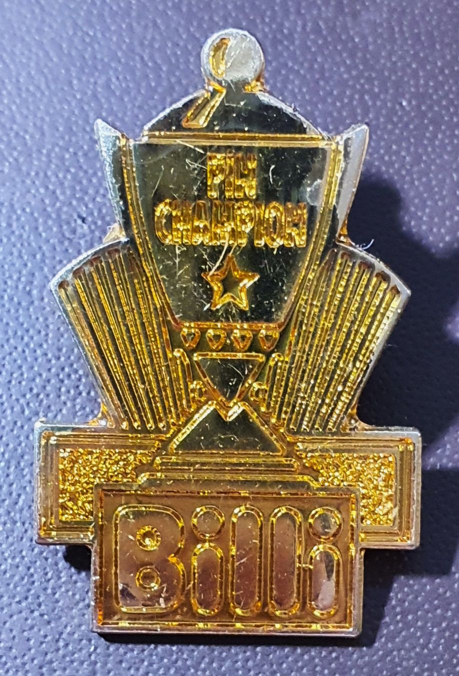 Placchette & Badge: S543 - Pin Champion Billi – Usato da Reinach BL venduto da Boston-Verkauf 1