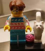 LEGO Minifigur: Gemütlicher Winterabend mit Katze & Wolle