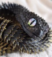 3D Druck Schlange als Deko oder Cosplay! 60 cm /Schimmer Eye