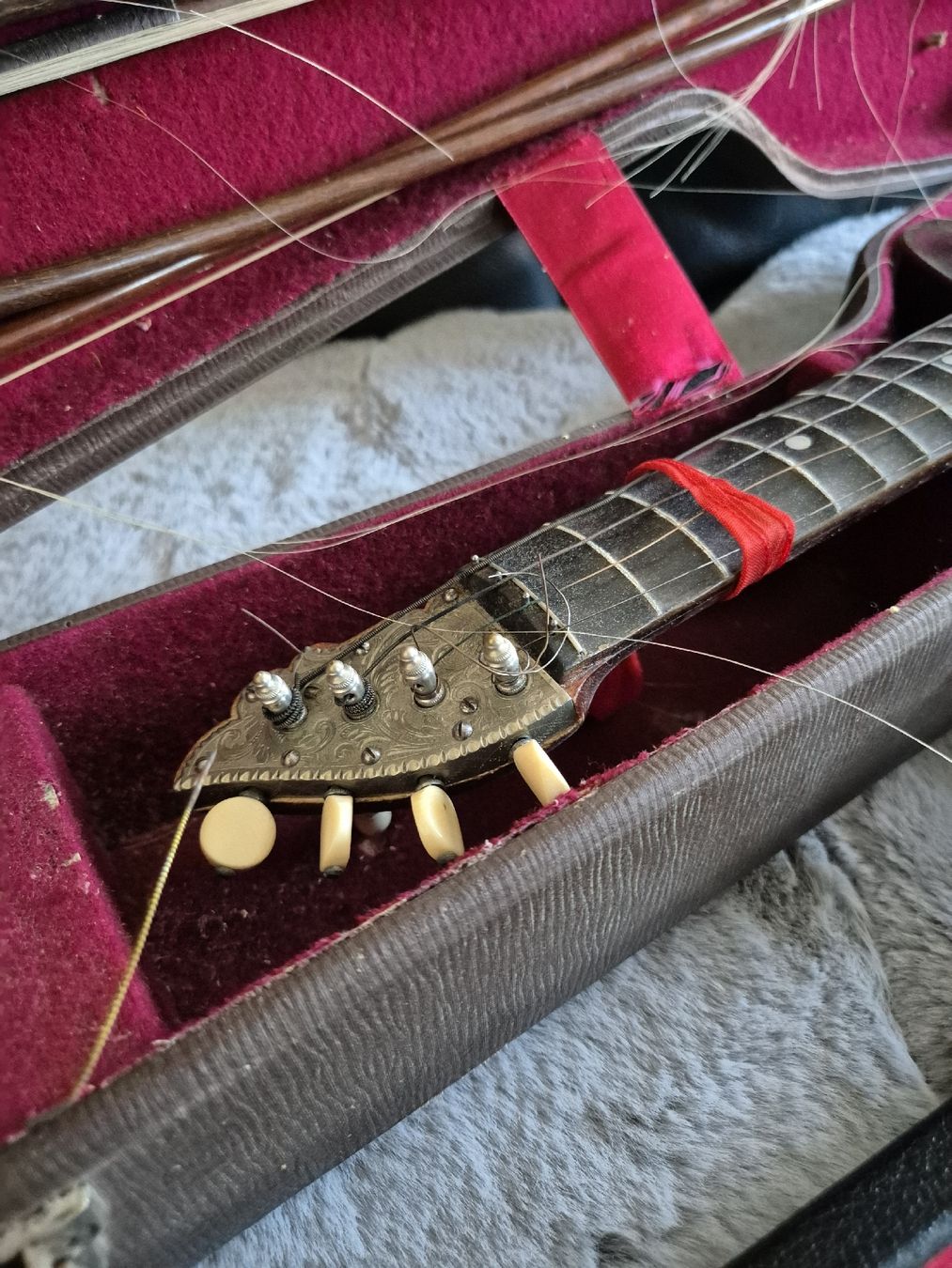 Musikinstrumente: Alte Diskantgambe – Gebraucht aus Zürich von Dalema13 3