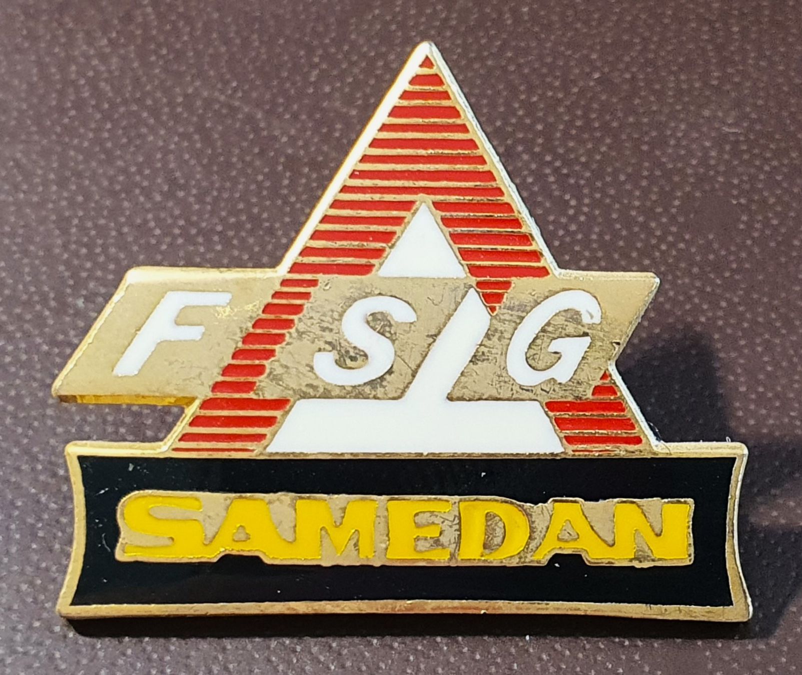 Alle Briefmarken: T436 - Pin FSG  SAMEDAN – Gebraucht aus Reinach BL von Boston-Verkauf