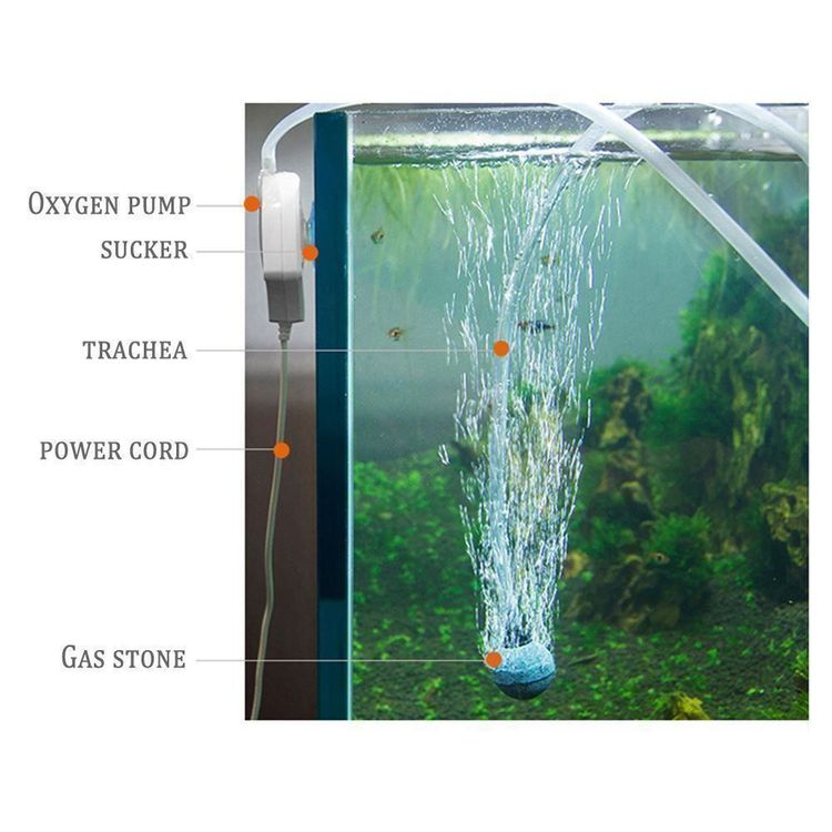 Pssopp Aquarium-Luftpumpe 5W - Doppelausgang, 220V, Leise, Für Fischtank Bis 200L, Inkl. Adapter