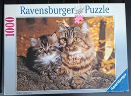 Puzzle Motiv "PICKNICK AUF DER WIESE"