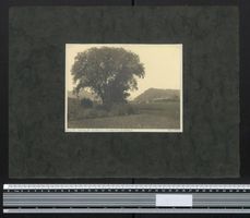 Fotografie Georg Friedrich Leonhardt, St