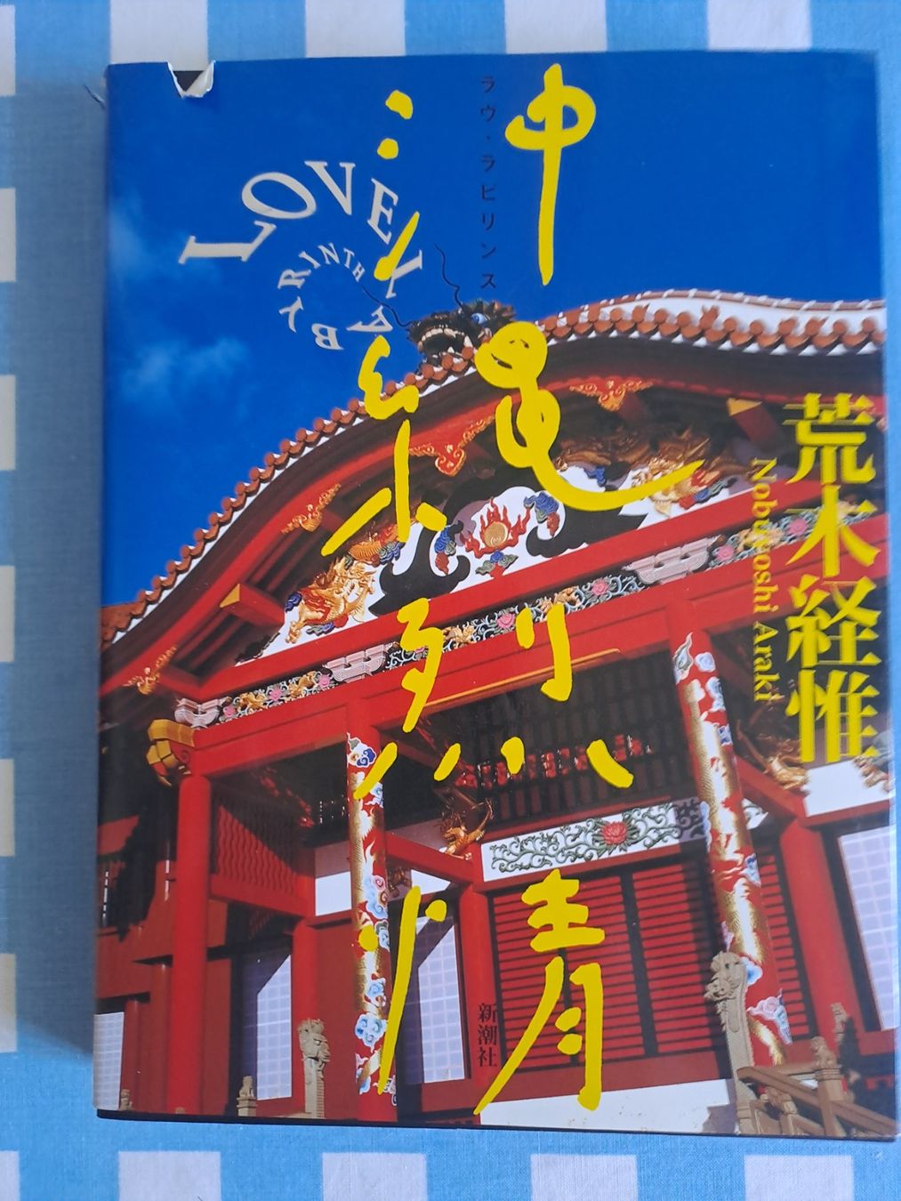 Libri: LOVE LABYRINTH NOBUYOSHI ARAKI – Usato da LAUSANNE venduto da KWEW