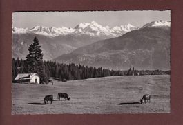 CRANS sur Sierre - Plans Mayens - 1953