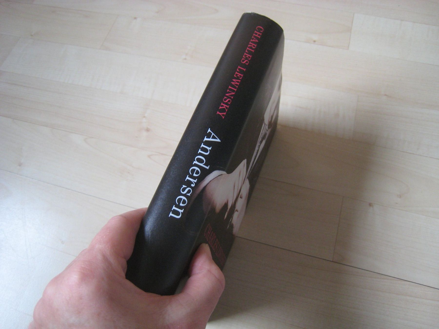 Libri: Andersen  Charles Lewinsky  gebunden – Usato da Dättlikon venduto da Mamakuga 2