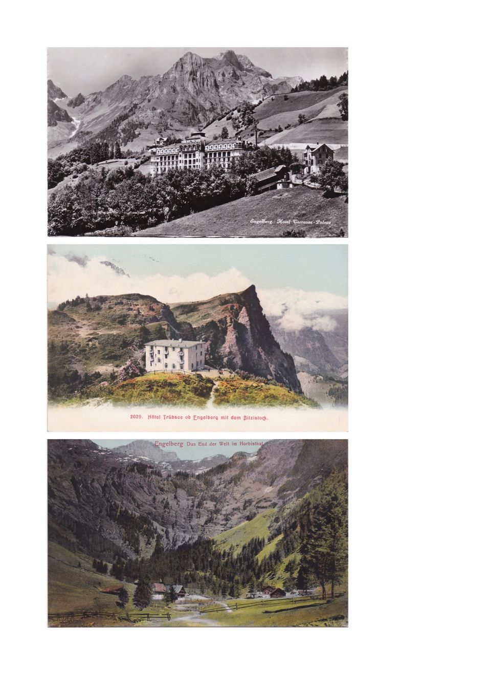 Ansichtskarten: Konvolut Engelberg – Gebraucht aus Baar von dokuba 2