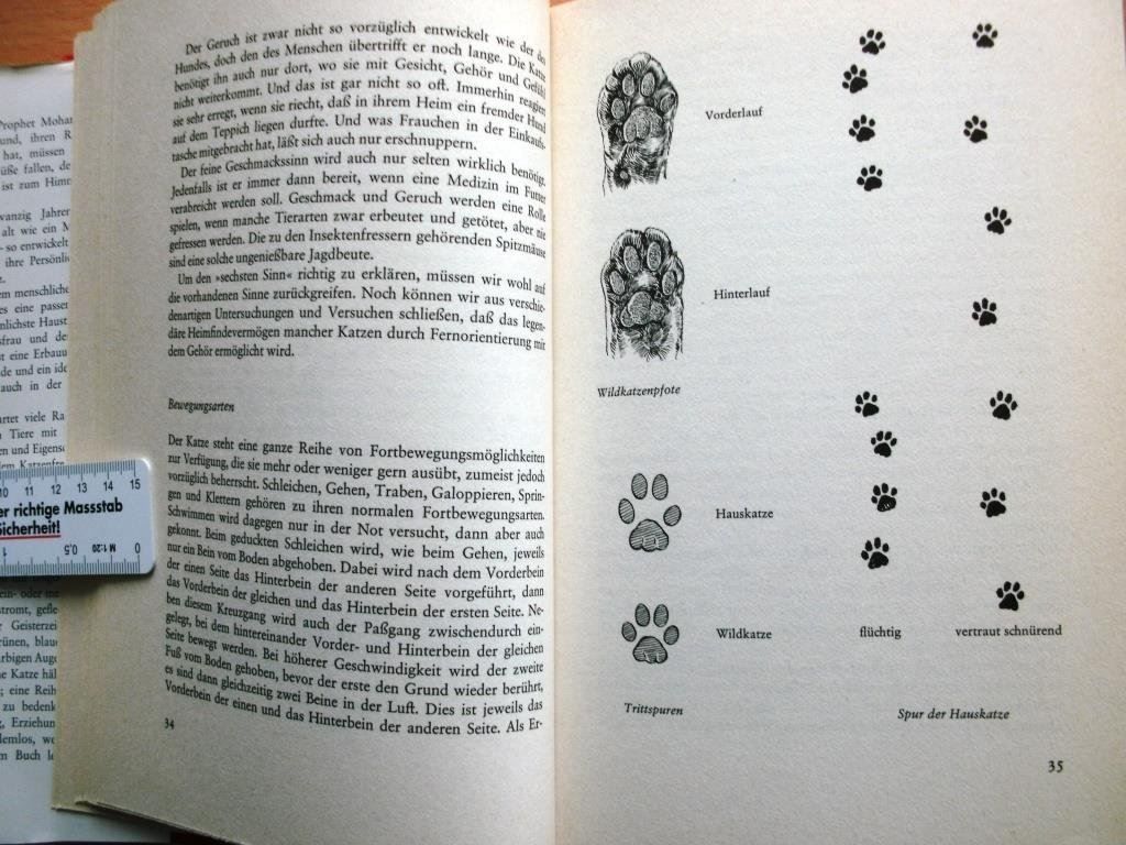 Libri: Katzenbuch – Usato da Grenchen venduto da Kogi7 4