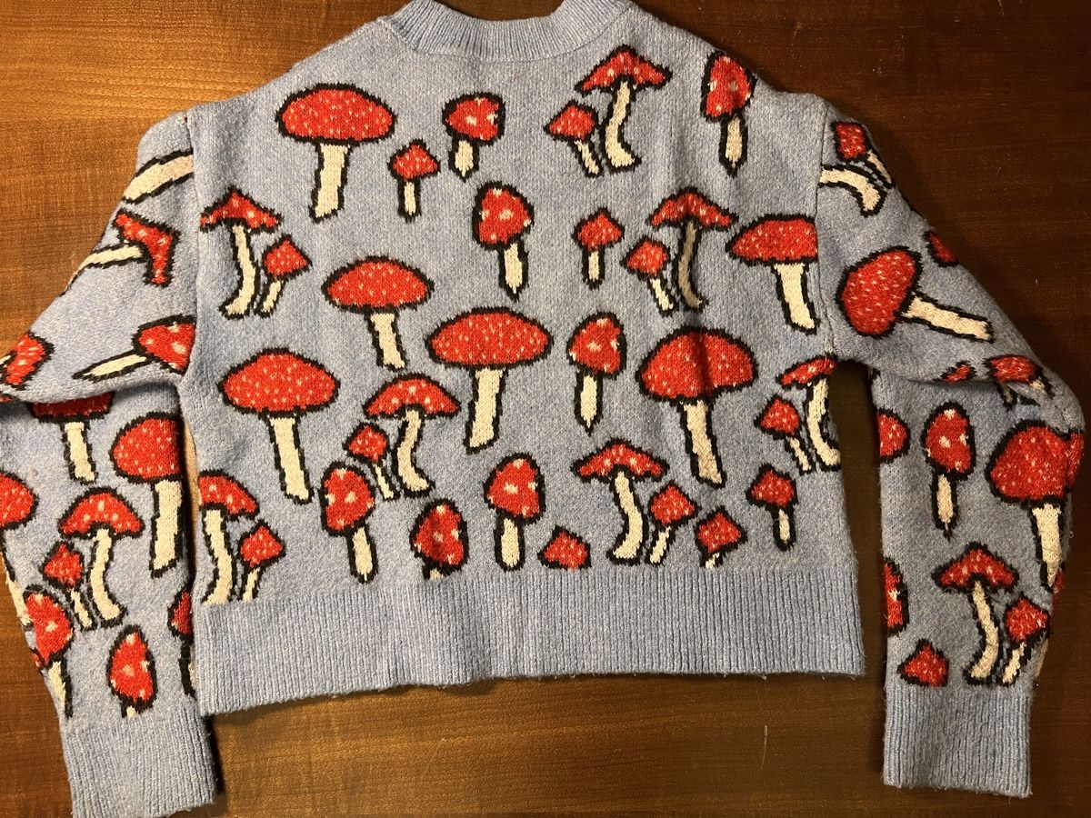 Zara Pullover & Sweatshirts: ZARA Pullover Gr. S – Gebraucht aus Zürich von car_x52z 2