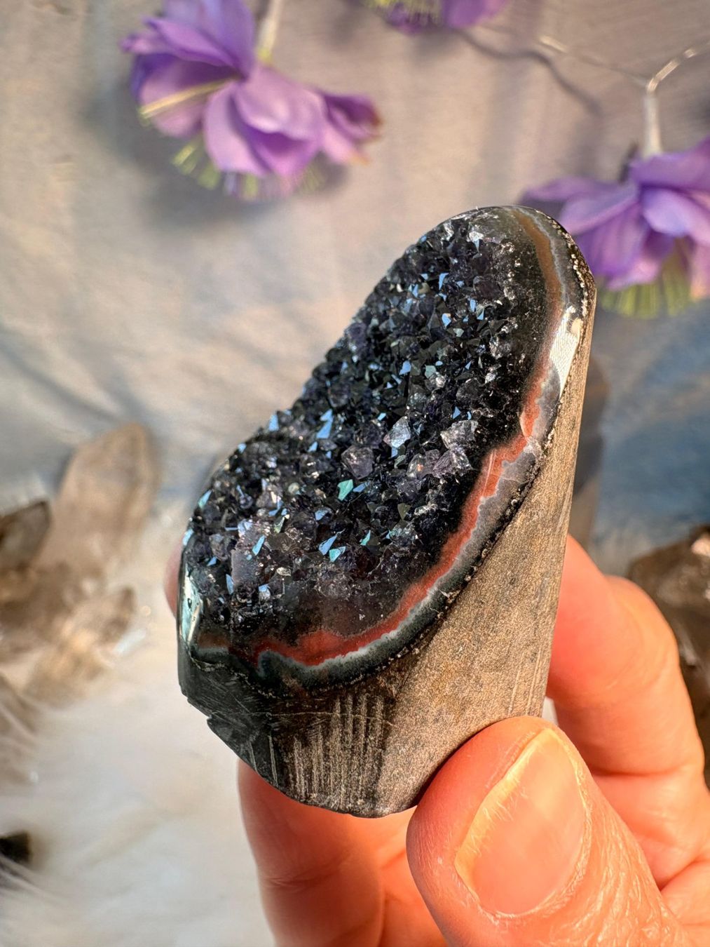 Mineralien & Heilsteine: Amethyst Geode – Neu (gemäss Beschreibung) aus Neuheim von m.hald 6