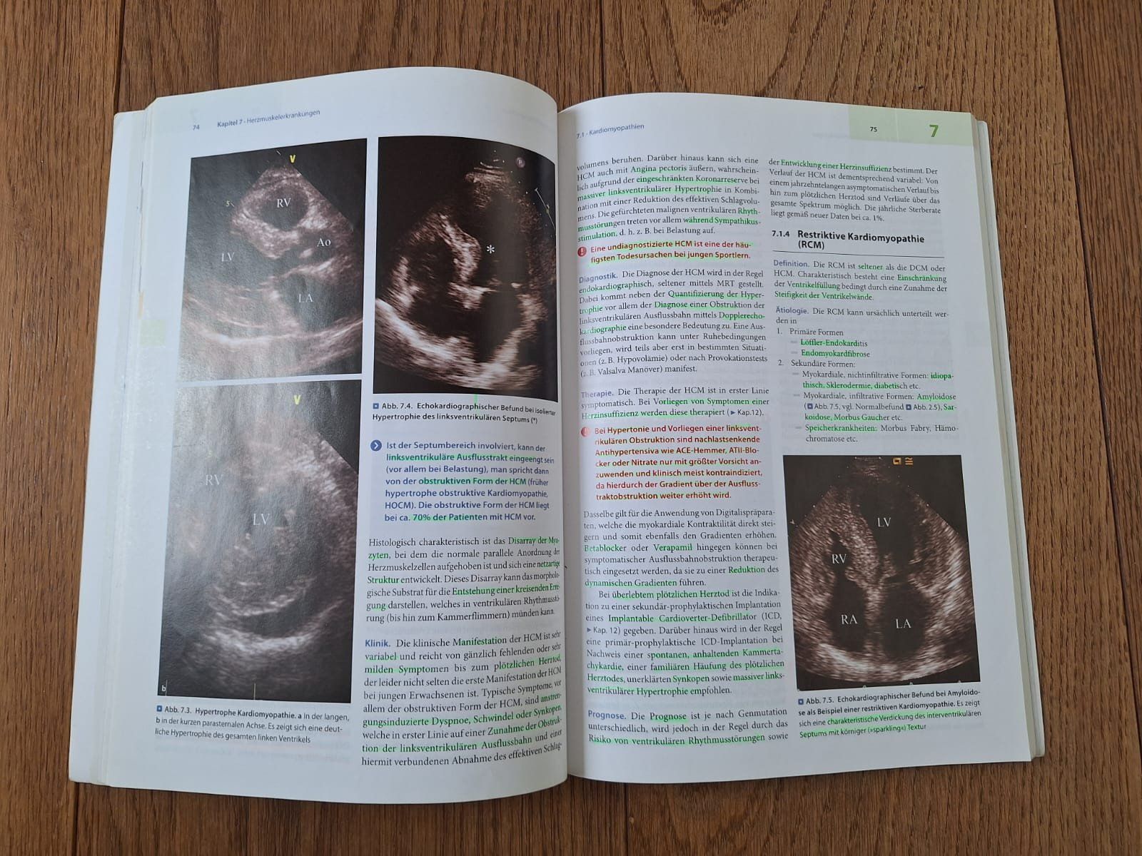 Libri: Buch "Herz-Kreislauf", Steffel, Lüscher – Usato da Zürich venduto da traveller09 1