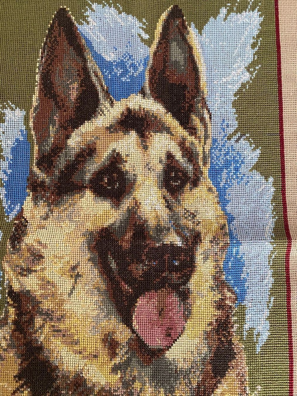 Foto & Immagini: Schäferhund Kreuzstich Bild neu – Nuovo (secondo la descrizione) da Bern venduto da schnupka 1