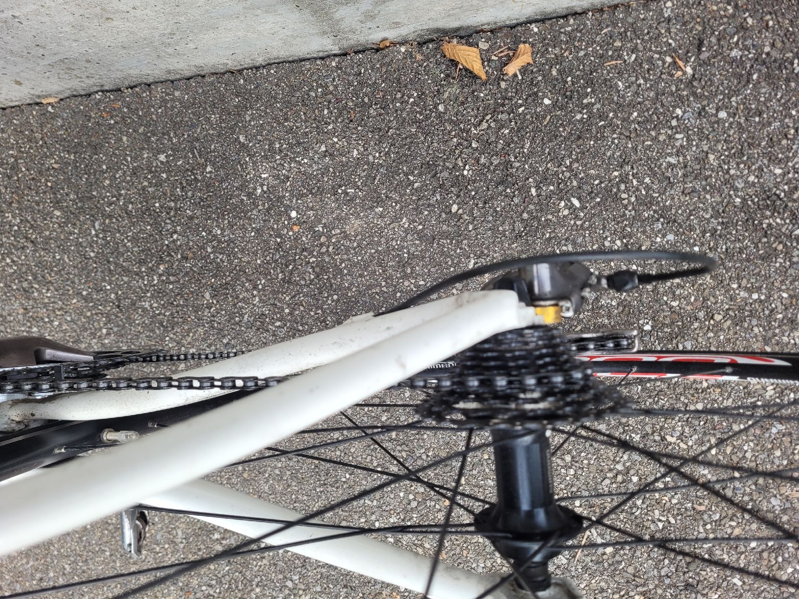 Biciclette: Rennvelo Roy Hinnen – Usato da Dietlikon venduto da rap_27z6 3
