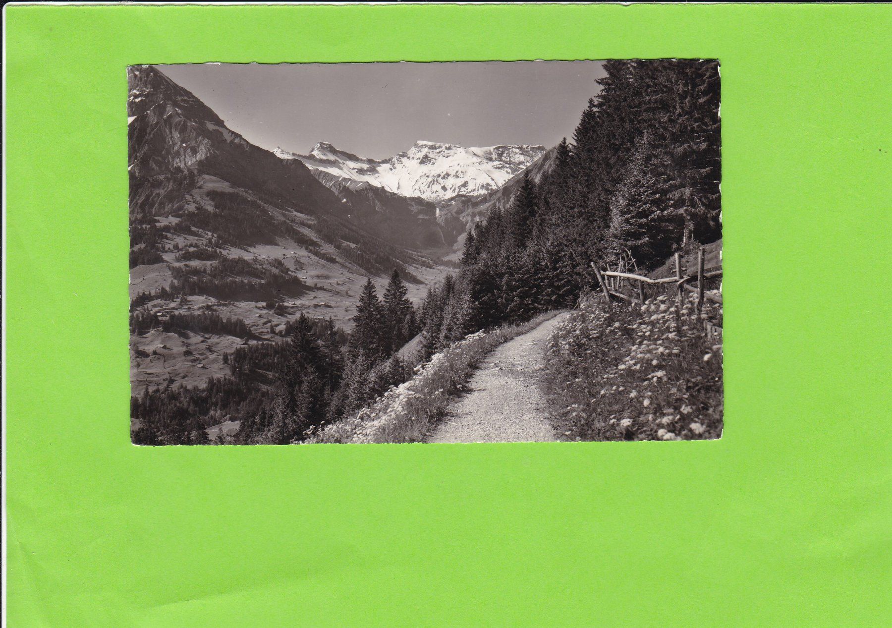 Cartoline postali: Adelboden-Hörnliweg, E. Gyger – Usato da St. Peterzell venduto da neckertal